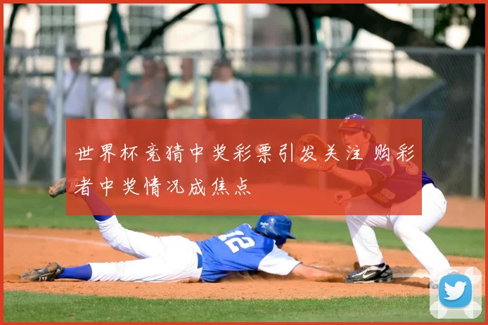 世界杯竞猜中奖彩票引发关注 购彩者中奖情况成焦点