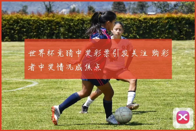 世界杯竞猜中奖彩票引发关注 购彩者中奖情况成焦点