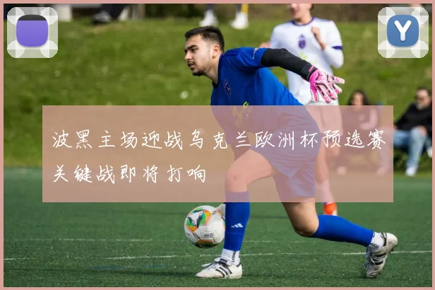 波黑主场迎战乌克兰欧洲杯预选赛关键战即将打响