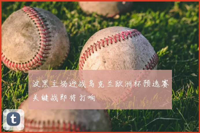 波黑主场迎战乌克兰欧洲杯预选赛关键战即将打响