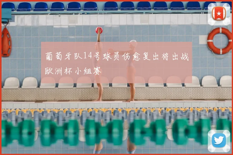 葡萄牙队14号球员伤愈复出将出战欧洲杯小组赛