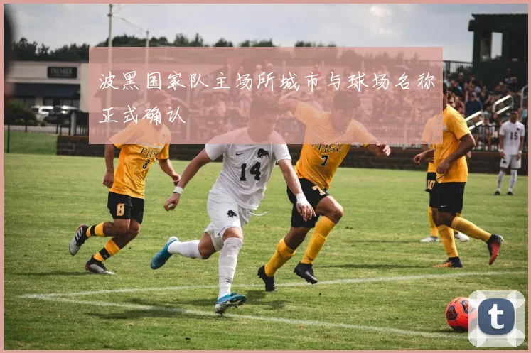 波黑国家队主场所城市与球场名称正式确认