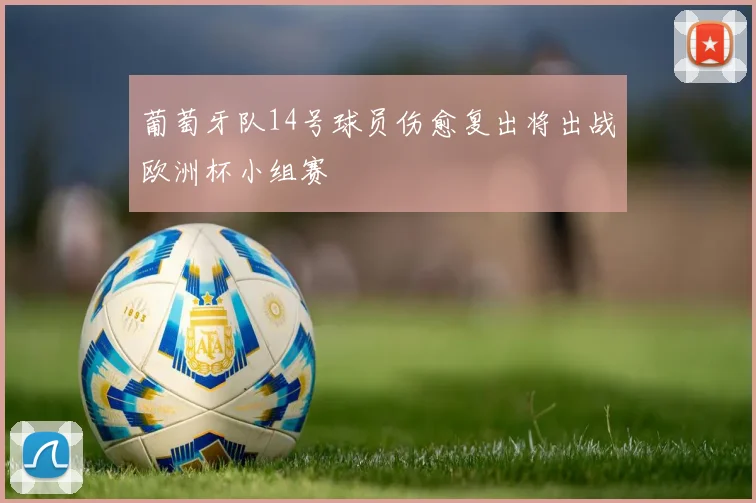 葡萄牙队14号球员伤愈复出将出战欧洲杯小组赛